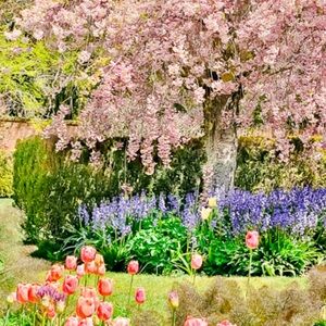 Jesus is King of Kings & Lord of Lords ~ He is close to all that call Upon Him 🌸